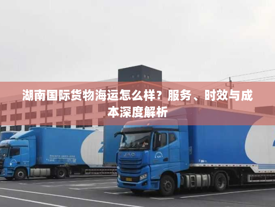 湖南国际货物海运怎么样?服务、时效与成本深度解析 湖南国际货物海运怎么样?服务、时效与成本深度解析