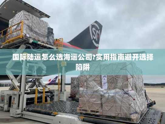 国际陆运怎么选海运公司?实用指南避开选择陷阱