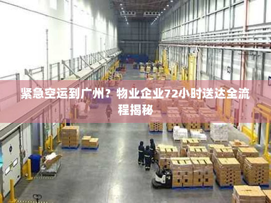 紧急空运到广州?物业企业72小时送达全流程揭秘 紧急空运到广州?物业企业72小时送达全流程揭秘