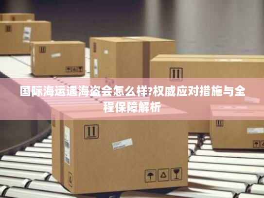 国际海运遇海盗会怎么样?权威应对措施与全程保障解析 国际海运遇海盗会怎么样?权威应对措施与全程保障解析