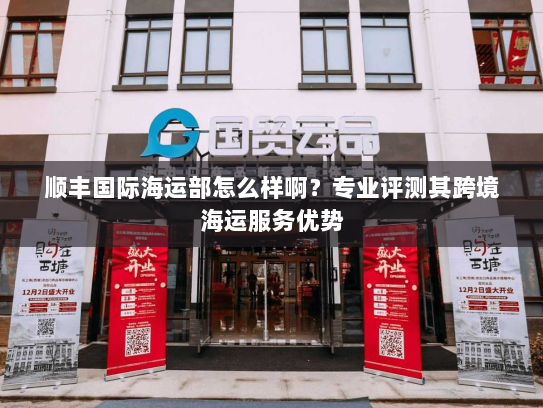 顺丰国际海运部怎么样啊？专业评测其跨境海运服务优势