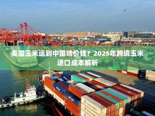 美国玉米运到中国啥价钱？2025年跨境玉米进口成本解析