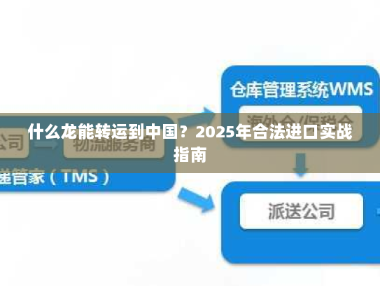什么龙能转运到中国?2025年合法进口实战指南 什么龙能转运到中国?2025年合法进口实战指南