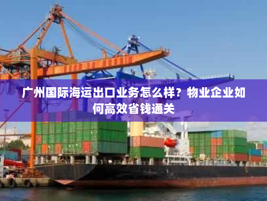 广州国际海运出口业务怎么样？物业企业如何高效省钱通关