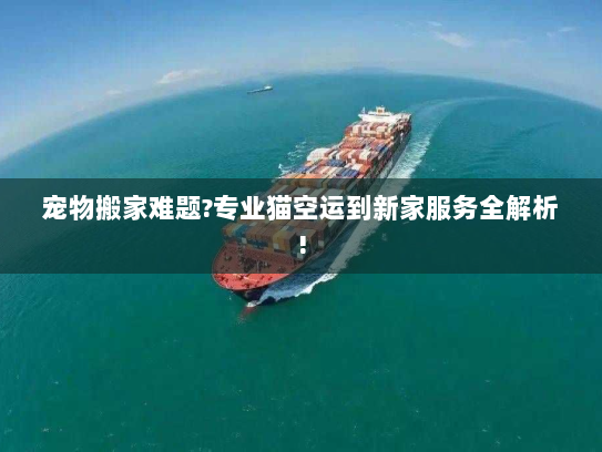 宠物搬家难题?专业猫空运到新家服务全解析! 宠物搬家难题?专业猫空运到新家服务全解析!
