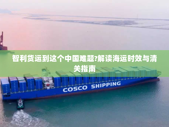 智利货运到这个中国难题?解读海运时效与清关指南 智利货运到这个中国难题?解读海运时效与清关指南