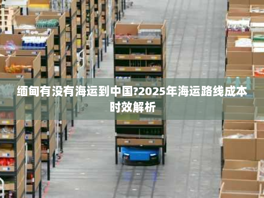 缅甸有没有海运到中国?2025年海运路线成本时效解析
