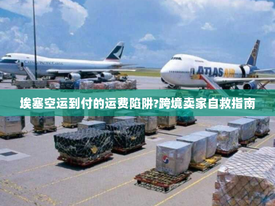 埃塞空运到付的运费陷阱?跨境卖家自救指南 埃塞空运到付的运费陷阱?跨境卖家自救指南