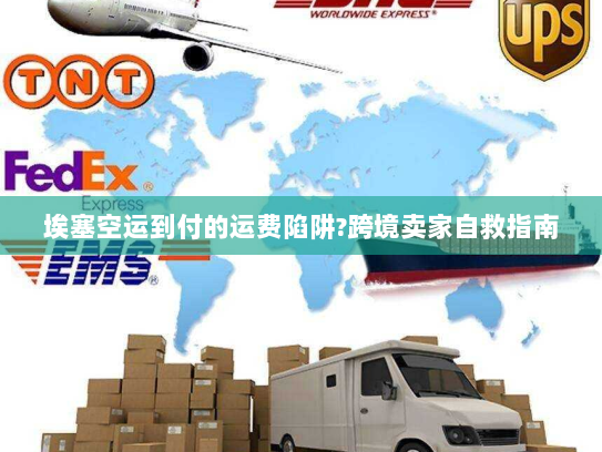 埃塞空运到付的运费陷阱?跨境卖家自救指南 埃塞空运到付的运费陷阱?跨境卖家自救指南