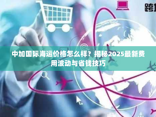 中加国际海运价格怎么样？揭秘2025最新费用波动与省钱技巧