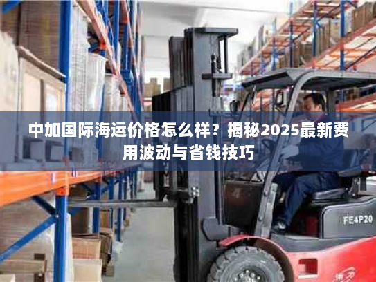中加国际海运价格怎么样?揭秘2025最新费用波动与省钱技巧 中加国际海运价格怎么样?揭秘2025最新费用波动与省钱技巧