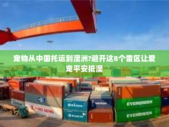 宠物从中国托运到澳洲?避开这8个雷区让爱宠平安抵澳