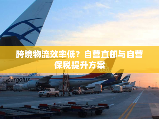 跨境物流效率低?自营直邮与自营保税提升方案 跨境物流效率低?自营直邮与自营保税提升方案