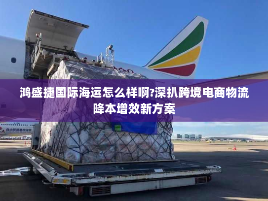 鸿盛捷国际海运怎么样啊?深扒跨境电商物流降本增效新方案 鸿盛捷国际海运怎么样啊?深扒跨境电商物流降本增效新方案