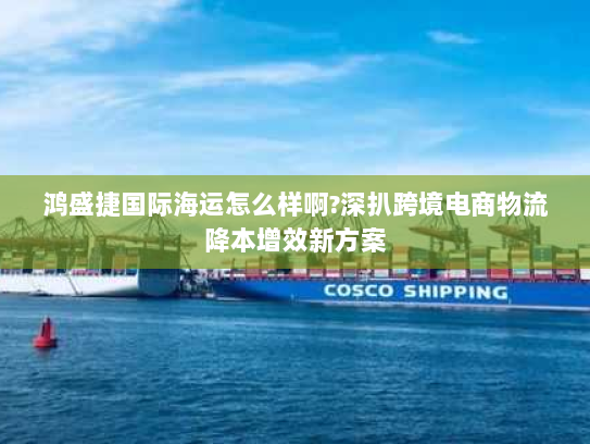 鸿盛捷国际海运怎么样啊?深扒跨境电商物流降本增效新方案 鸿盛捷国际海运怎么样啊?深扒跨境电商物流降本增效新方案