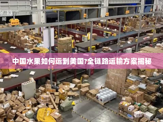 中国水果如何运到美国?全链路运输方案揭秘