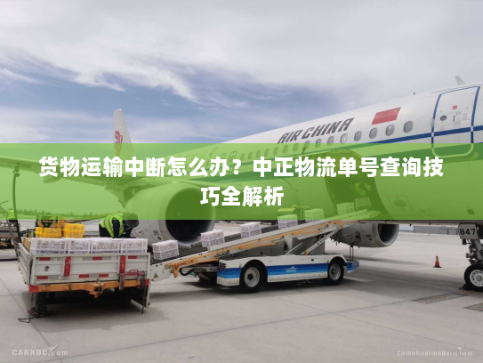 货物运输中断怎么办?中正物流单号查询技巧全解析 货物运输中断怎么办?中正物流单号查询技巧全解析