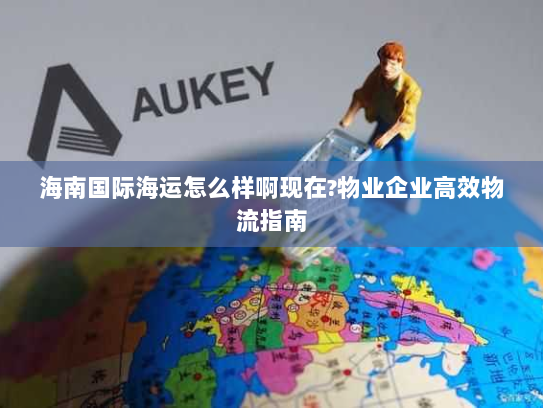 海南国际海运怎么样啊现在?物业企业高效物流指南