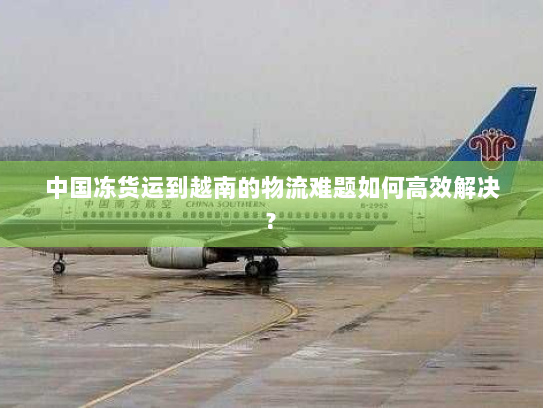 中国冻货运到越南的物流难题如何高效解决?