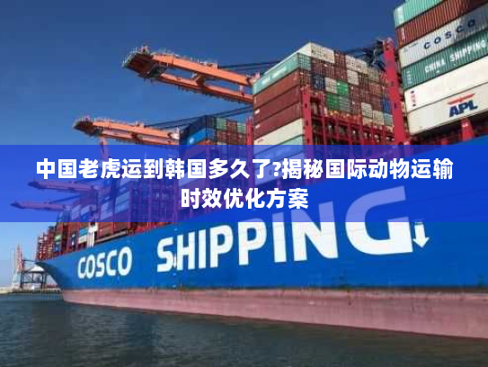 中国老虎运到韩国多久了?揭秘国际动物运输时效优化方案 中国老虎运到韩国多久了?揭秘国际动物运输时效优化方案