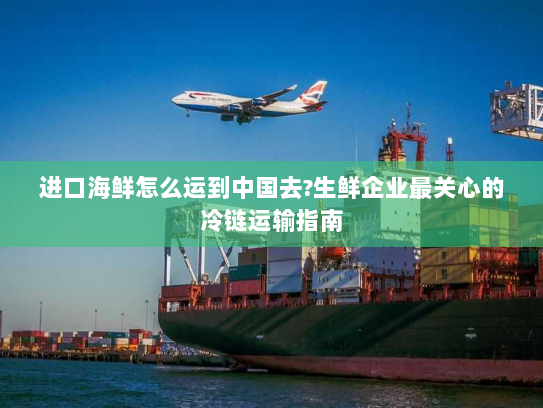 进口海鲜怎么运到中国去?生鲜企业最关心的冷链运输指南 进口海鲜怎么运到中国去?生鲜企业最关心的冷链运输指南