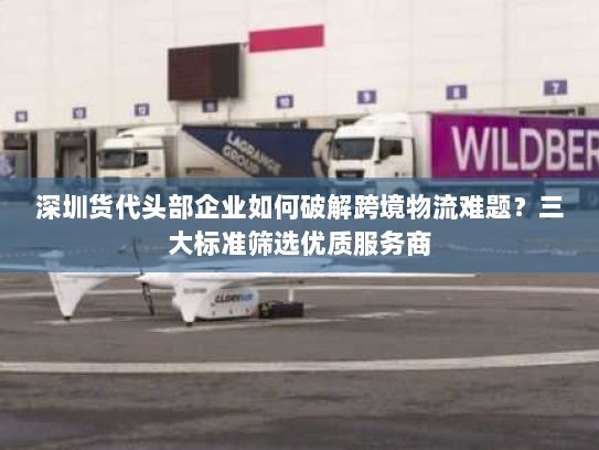 深圳货代头部企业如何破解跨境物流难题?三大标准筛选优质服务商 深圳货代头部企业如何破解跨境物流难题?三大标准筛选优质服务商