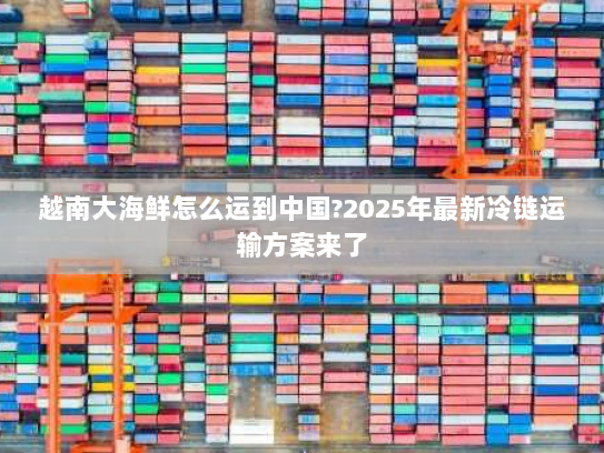 越南大海鲜怎么运到中国?2025年最新冷链运输方案来了 越南大海鲜怎么运到中国?2025年最新冷链运输方案来了