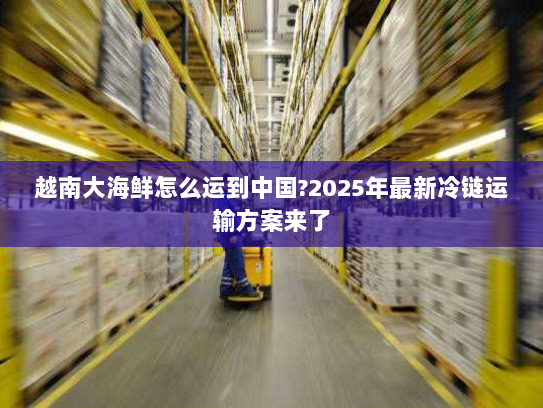 越南大海鲜怎么运到中国?2025年最新冷链运输方案来了 越南大海鲜怎么运到中国?2025年最新冷链运输方案来了