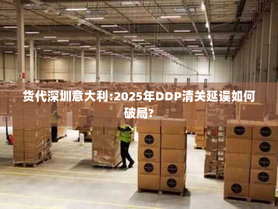 货代深圳意大利:2025年DDP清关延误如何破局?