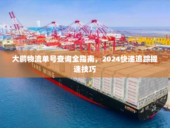 大鹏物流单号查询全指南,2024快递追踪提速技巧 大鹏物流单号查询全指南,2024快递追踪提速技巧