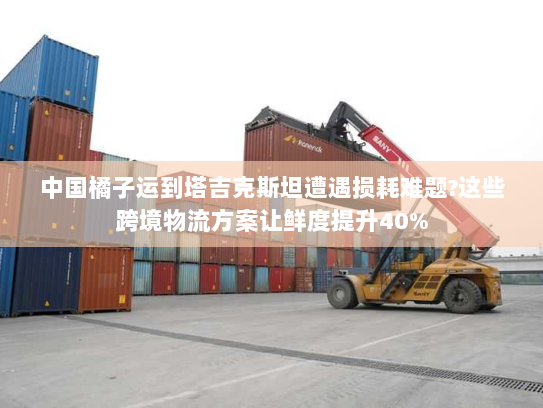 中国橘子运到塔吉克斯坦遭遇损耗难题?这些跨境物流方案让鲜度提升40%