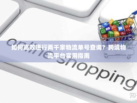 如何高效进行两千家物流单号查询?跨境物流平台实用指南 如何高效进行两千家物流单号查询?跨境物流平台实用指南