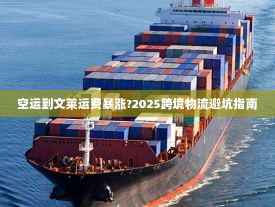 空运到文莱运费暴涨?2025跨境物流避坑指南 空运到文莱运费暴涨?2025跨境物流避坑指南