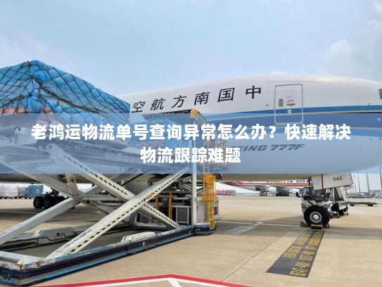 老鸿运物流单号查询异常怎么办？快速解决物流跟踪难题