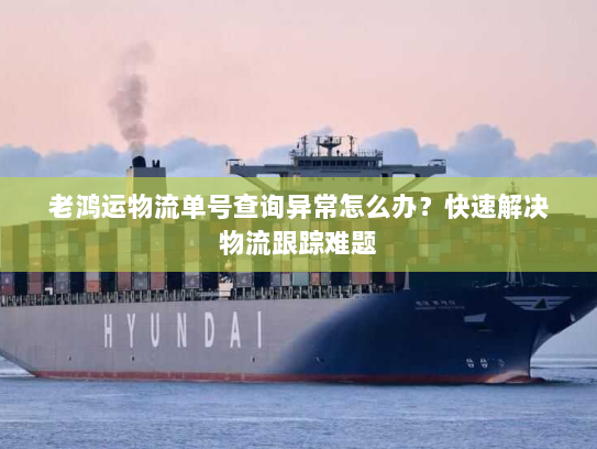 老鸿运物流单号查询异常怎么办？快速解决物流跟踪难题