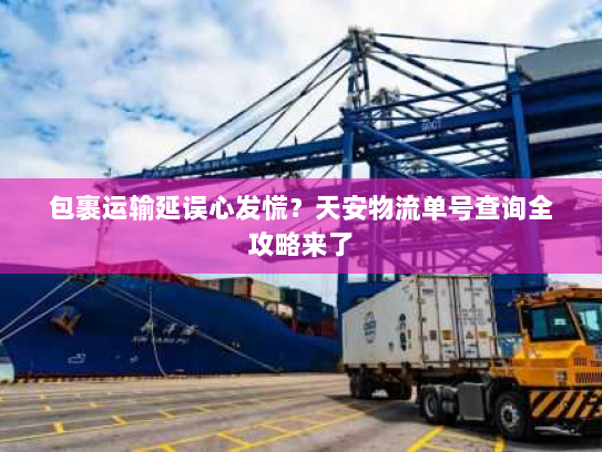 包裹运输延误心发慌？天安物流单号查询全攻略来了