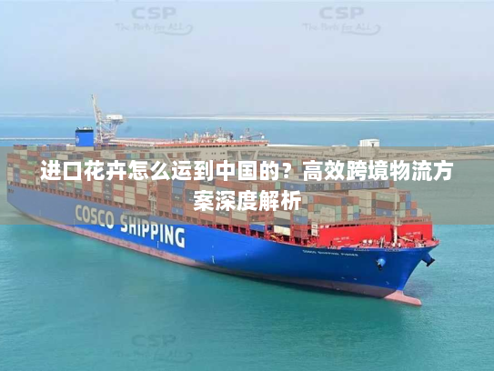 进口花卉怎么运到中国的?高效跨境物流方案深度解析 进口花卉怎么运到中国的?高效跨境物流方案深度解析