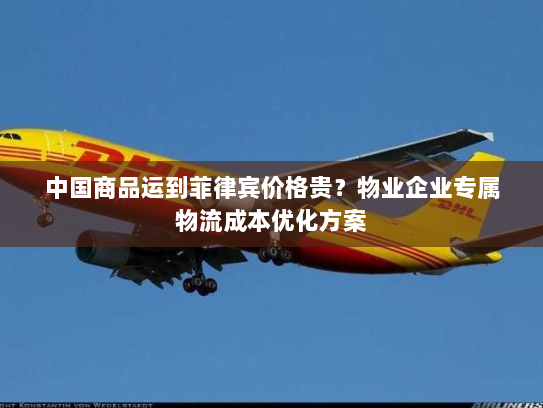 中国商品运到菲律宾价格贵？物业企业专属物流成本优化方案