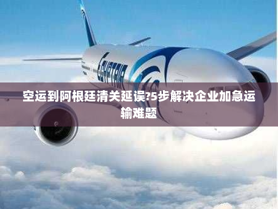 空运到阿根廷清关延误?5步解决企业加急运输难题