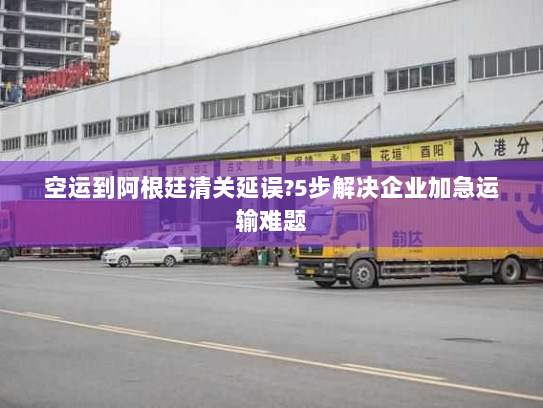 空运到阿根廷清关延误?5步解决企业加急运输难题