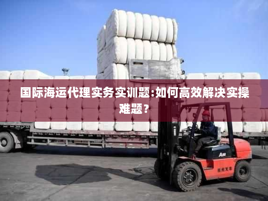 国际海运代理实务实训题:如何高效解决实操难题？