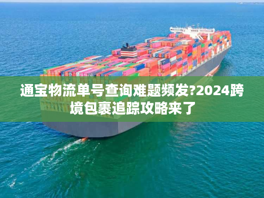 通宝物流单号查询难题频发?2024跨境包裹追踪攻略来了