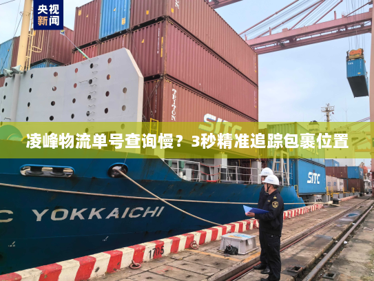 凌峰物流单号查询慢？3秒精准追踪包裹位置