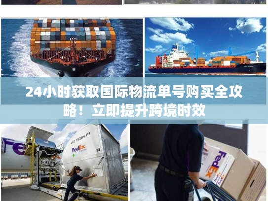 24小时获取国际物流单号购买全攻略！立即提升跨境时效