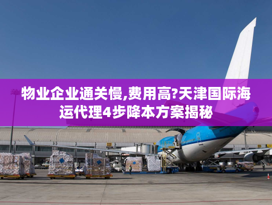 物业企业通关慢,费用高?天津国际海运代理4步降本方案揭秘