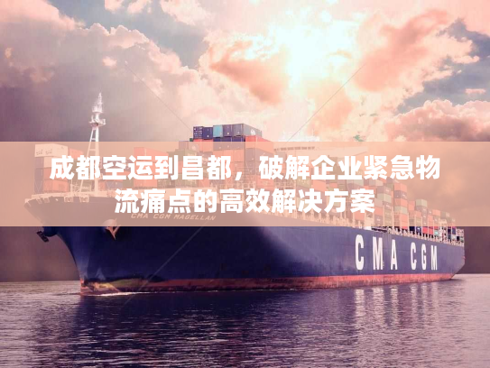 成都空运到昌都，破解企业紧急物流痛点的高效解决方案