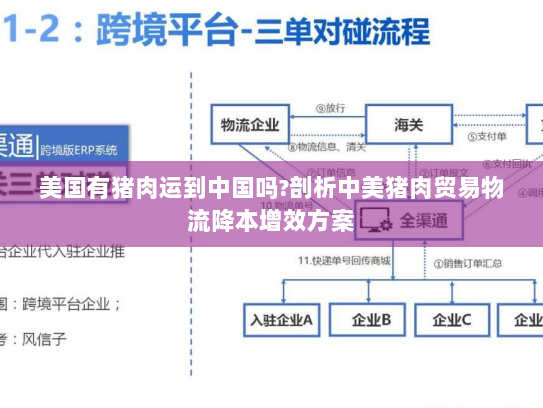 美国有猪肉运到中国吗?剖析中美猪肉贸易物流降本增效方案 美国有猪肉运到中国吗?剖析中美猪肉贸易物流降本增效方案