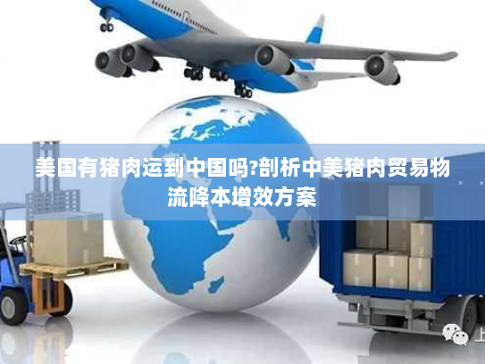 美国有猪肉运到中国吗?剖析中美猪肉贸易物流降本增效方案 美国有猪肉运到中国吗?剖析中美猪肉贸易物流降本增效方案