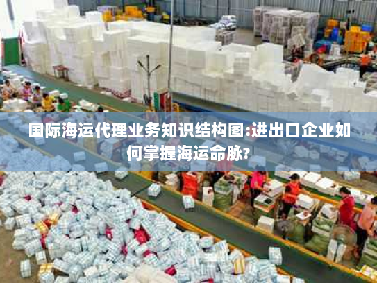 国际海运代理业务知识结构图:进出口企业如何掌握海运命脉? 国际海运代理业务知识结构图:进出口企业如何掌握海运命脉?