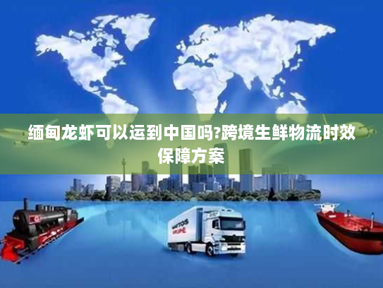 缅甸龙虾可以运到中国吗?跨境生鲜物流时效保障方案 缅甸龙虾可以运到中国吗?跨境生鲜物流时效保障方案